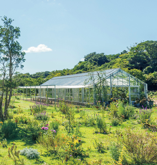 犬島 くらしの植物園