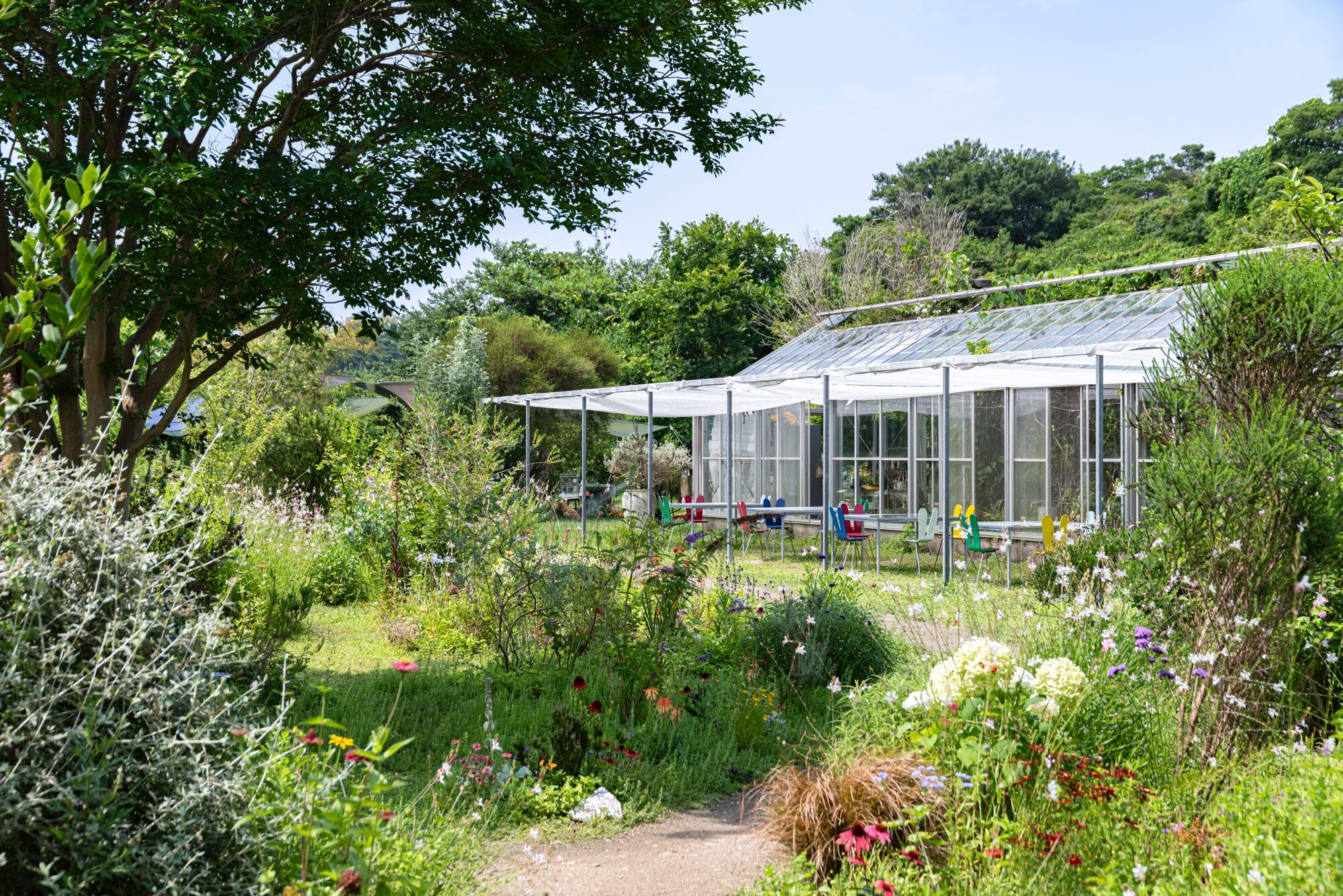 ベネッセアートサイト直島 バックグラウンドツアー Vol.6　犬島の過去から未来を考える ～石切り場から犬島くらしの植物園まで～