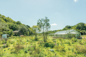 犬島 くらしの植物園