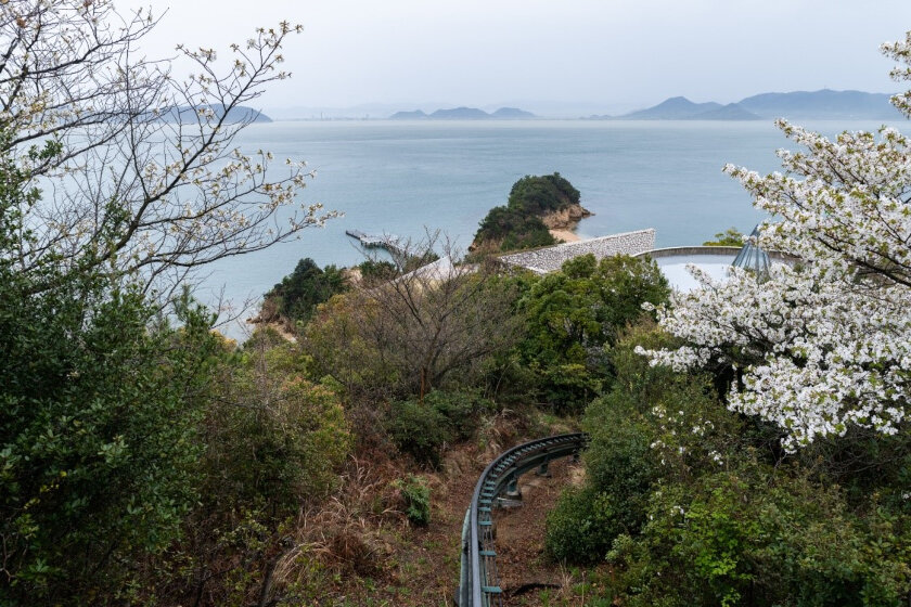 山つつじ