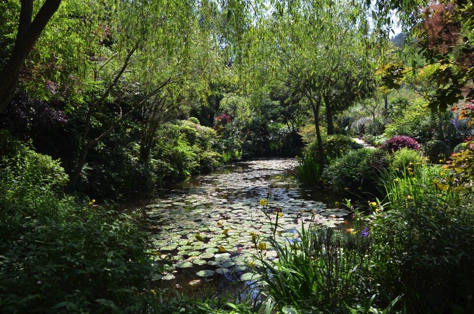 Café, Store&Garden Chichu Garden
