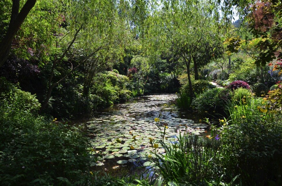 Café, Store＆Garden Chichu Garden